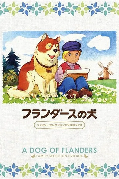 Le Chien des Flandres